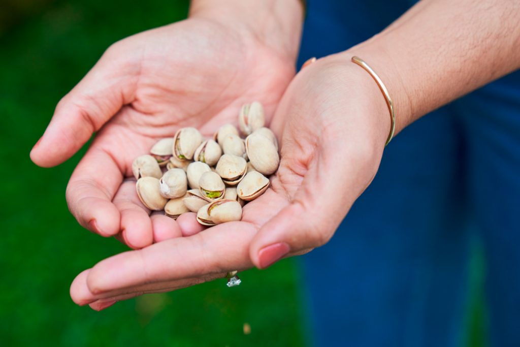 How Many Pistachios Can I Eat Per Day? Procesado del Pistacho