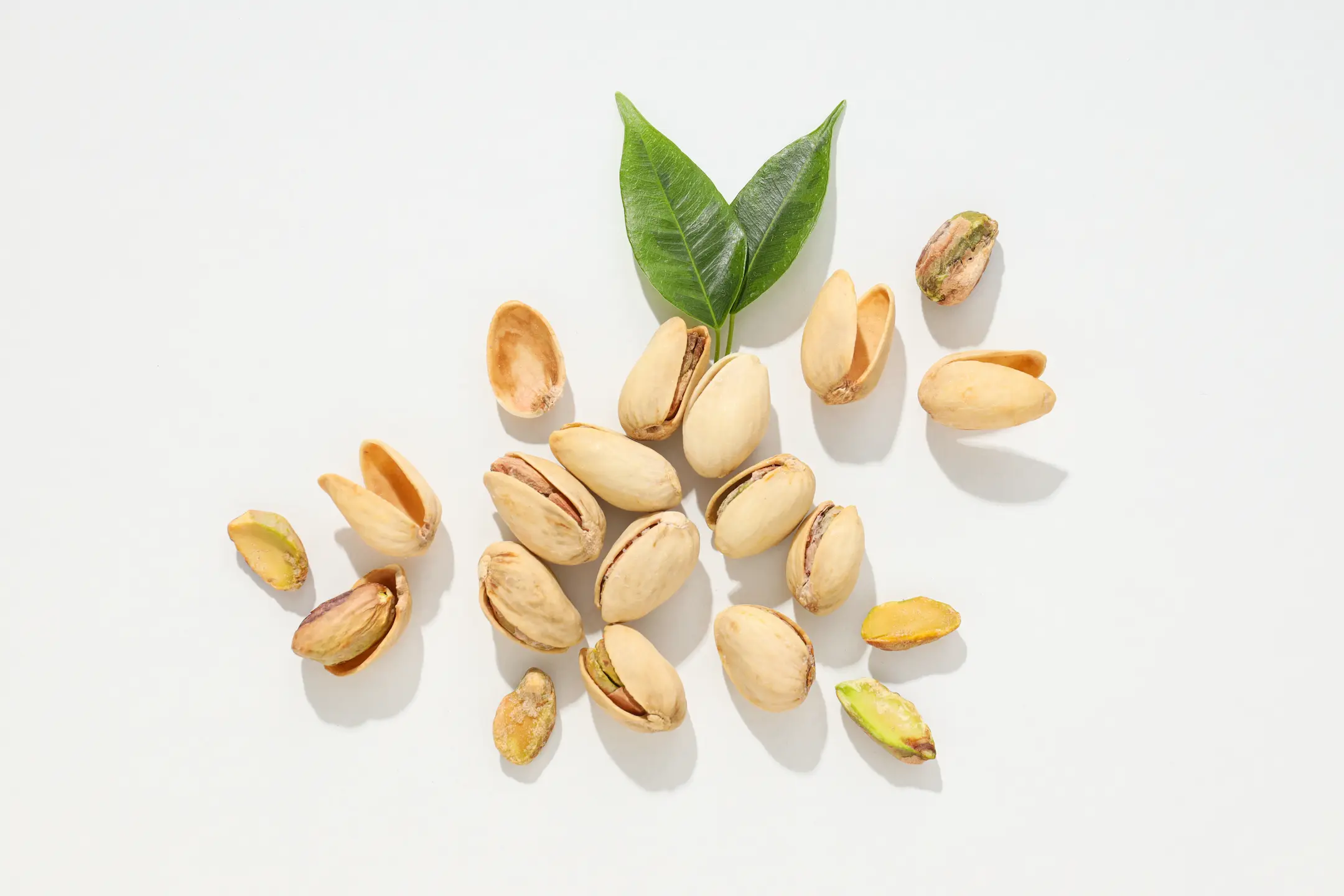 9fa788a14ffbb73c628897fbca6b5d47e5dc9eb8